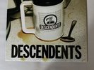 Descendents, Gotta, 7” Vinyl, 1997 punk rock, 1 owner, rare