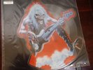 Iron Maiden Fear of the Dark Limited Edition Shaped Picture Disc Vinyl