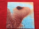 Pink Floyd Meddle 1971 Vinyl Record NM 2016 Pink Floyd PFRLP6-A Tested Excellent