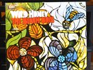 The Beach Boys – Wild Honey Vinyl LP Rare Mono 1st UK Pressing T2859/EX/VG/E656