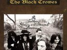 Black Crowes The Southern Harmony and Musical Companion (Vinyl LP 12