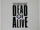 DEAD OR ALIVE YOUTHQUAKE EPIC 303P670 JAPAN VINYL LP