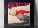 [NEW] Skratchy Seal - Baby Super Seal - 7