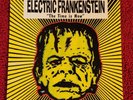 Electric Frankenstein   The Time Is Now LP album punk vinyl  1996 pressing