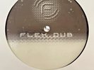 12” Dubplate Ital Rockers - Itals Anthem Digital Remix Drum & Bass Flex Records