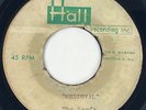 THE SERFS Medieval Unreleased 1963 Surf Acetate 45 HEAR