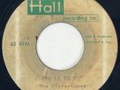 THE VIBRA-TONES Bo La De To Unreleased Illinois Surf Garage Acetate RARE 45 HEAR