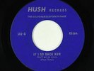 Soul Gospel 45 - Goldenaires of South Dade - If I Go Back Now - Hush