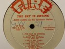 ELMORE JAMES The Sky is Crying Vinyl LP UNRELEASED 1960 Fire 102 RARE BLUES