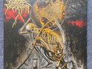 Cattle Decapitation - Death Atlas 2019 Ltd Ed Dbl LP AMBER Marble Vinyl  NM