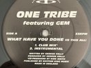 One Tribe (2) - What Have You Done  Breakbeat, House, Hardcore Record
