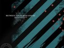 Between the Buried and Me : The Silent Circus VINYL 12