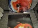 Vince Staples Big Fish Theory Picture Disc Vinyl 2LP With SIGNED Insert