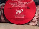 SLAYER - RAINING BLOOD - Picture LP,  sehr selten, RAR & Ltd. edition