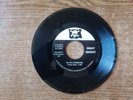 GARAGE 1971 MINT-EXC Gray Ghost Plastic Shadow/Black Sunshine 010571 45