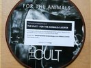 The Cult RSD Limited Picture Disc For The Animals Lucifer - Unplayed