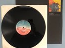 1989 VG+ LP: ONE BLOOD - JUNIOR REID, JRLP001 (JAMAICAN PRESSING)
