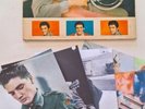 Elvis 