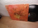DOLDINGERS MOTHERHOOD 1970 MINT- Lp KRAUTROCK MONSTER (Udo Lindenberg)