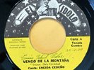DORINDO CARDENAS - Desde Que Llegaste Tu / PANAMA CUMBIA 45 El Idolo