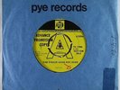 Psych Pop 45 - Nomads - The Singer Sang His Song - Pye UK