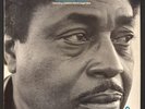 JOHNNY SHINES - TOO WET TO PLOW - 1977 Blue Labor LP - Sugar Blue Louisiana Red