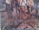 RAMON AYALA Y LOS BRAVOS DEL NORTE SUS MEJORES TEXMEX TEJANO NORTEÑO RARE LP VG+