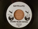 Ricky & The Lexingtons  Walking The Dog Shotgun/Have A Heart RARE  Soul, Garage
