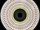 Dua Lipa: Radical Optimism #/5000 Blood Records Zoetrope Pic Vinyl LP PRESALE