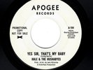 ROCK & ROLL-HALE & THE HUSHABYES-YES SIR, THAT'S MY BABY/900 QUETZALS-APOGEE 104