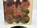 The Butterfield Blues Band ‎– In My Own Dream LP Vinyl 1980