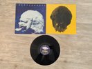 Chapterhouse-Whirlpool Vinyl LP, dedicated Rec. 1991/BMG, Shoegaze/Rock, UK, RAR