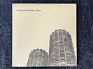 Wilco - Yankee Hotel Foxtrot 1st Press Sundazed 2x 180g Vinyl Record