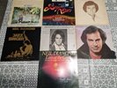 Neil Diamond Vinyl 12
