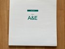 Spiritualized -Songs From A&E Green Vinyl