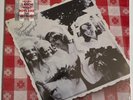 The Waitresses - Wasn't Tomorrow Wonderful? ORIG US VINYL LP BRAND NEW & SEALED