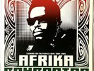 Afrika Bambaataa Looking For The Perfect Beat 1980-1985 Vinyl 2LP US 2001