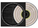 Dua Lipa: Radical Optimism Blood Records Zoetrope Pic Vinyl CONFIRMED