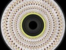 DUA LIPA Radical Optimism /5000 Blood Records ZOETROPE Pic Vinyl LP PRESALE