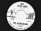 GARAGE FUZZ PUNK 45 -  BARBARIANS -  HEY  LITTLE BIRD  -  HEAR- 1964 PROMO JOY