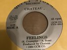 CHATEAU feelings / strike a spark  1984  OG press 45 Boogie Funk Soul 1984