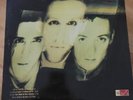The Wild Swans ‎– Bringing Home The Ashes - Original 1988 Near Mint LP