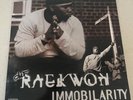 Raekwon - Immobilarity Vinyl Record Album 12”