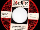 WILD & SNOTTY GARAGE 45 - THE TROPICS - YOU BETTER MOVE/IT'S YOU I MISS - HEAR