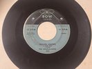The Chuck-A-Lucks 1958 DOO WOP 45 Heaven Knows / Chuck-A Luck BOW VG HEAR