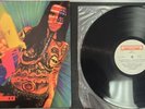 GRUNTRUCK LP PUSH w/insert 93' GRUNGE ROCK NM