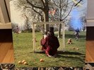 An Introduction To Syd Barrett(Pink Floyd)  Vinyl *Near Mint*RSD