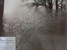 BON IVER - For Emma Forever Ago VINYL LP 2008 Jagjaguwar BRAND NEW