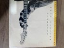 ERIC CLAPTON SLOWHAND ORIGINAL MASTER RECORDING AUDIOPHILE LP MFSL MOFI 1-030
