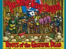 Various Artists - The Music Never Stopped: The Roots of the Grateful Dead